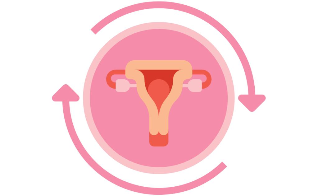 cycle-féminin-contraception