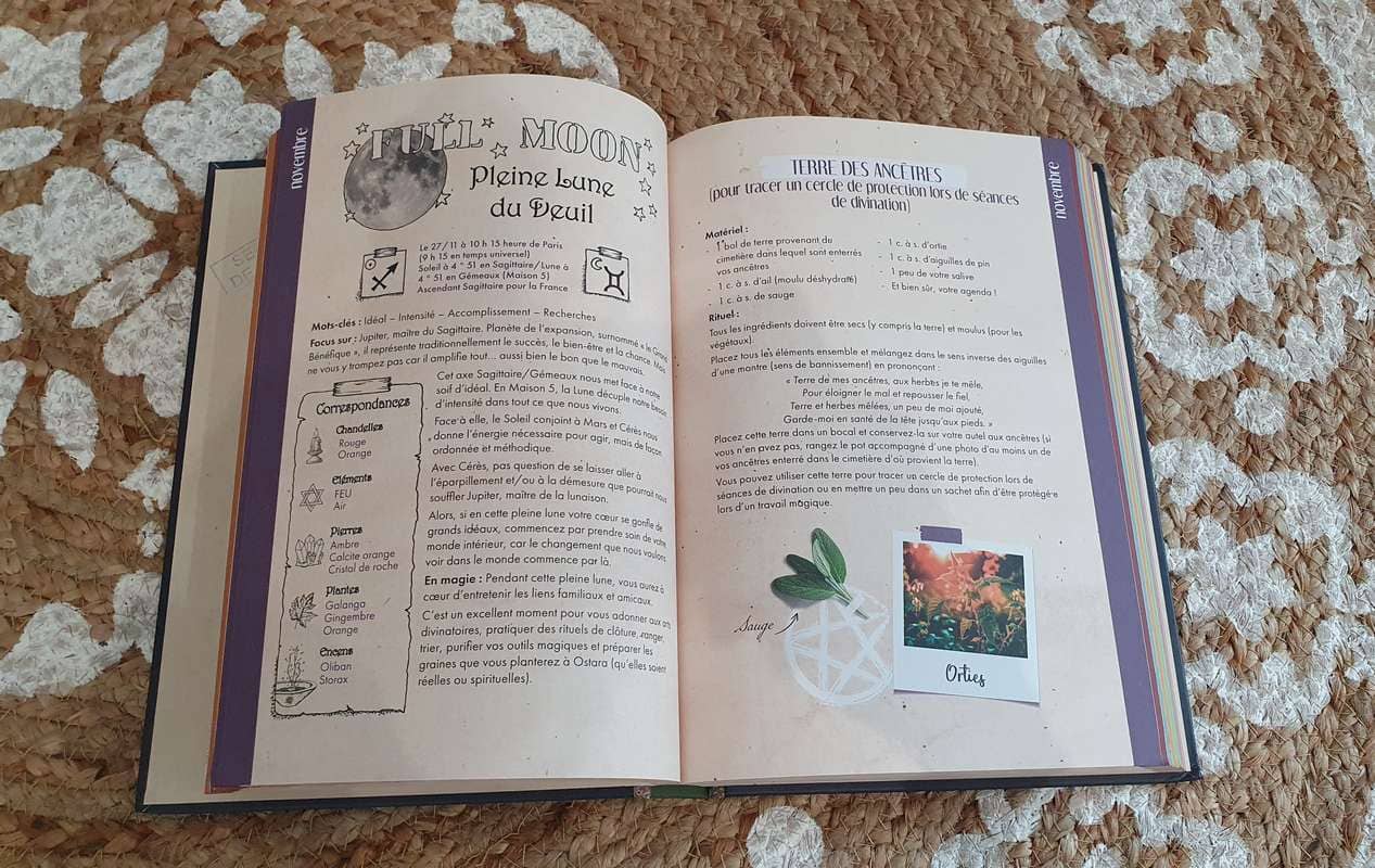 Calzini Da Stacco Cerberus - Protezione Per Stinchi Durante Allenamento E Sollevamento Pesi - Foto 10