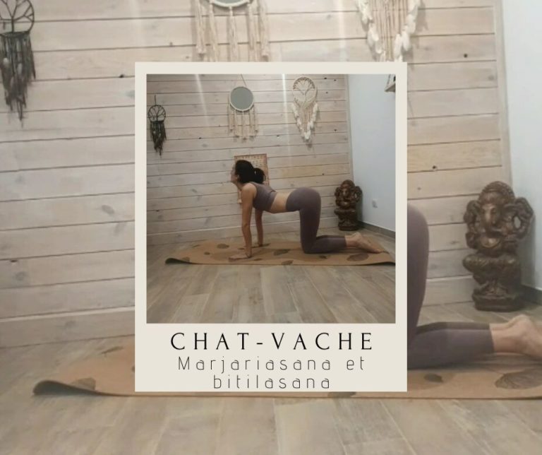 Posture du chatvache marjariasana et bitilasana Constance Moon