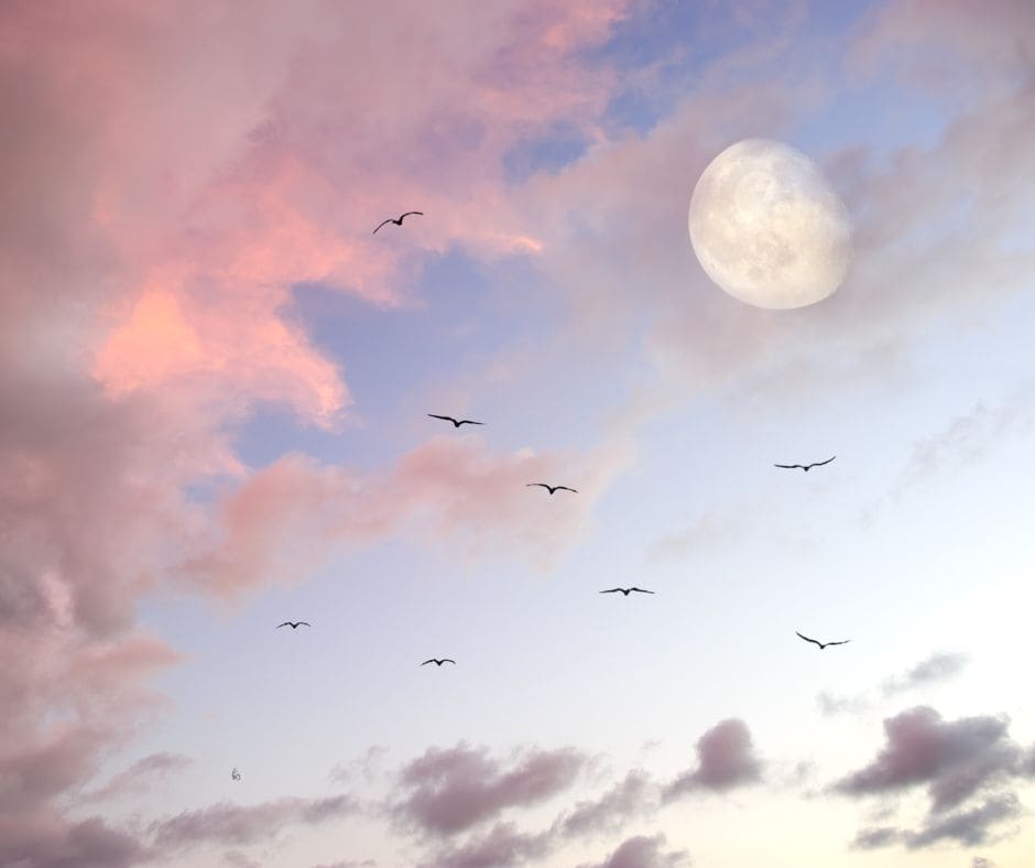 phases de la lune