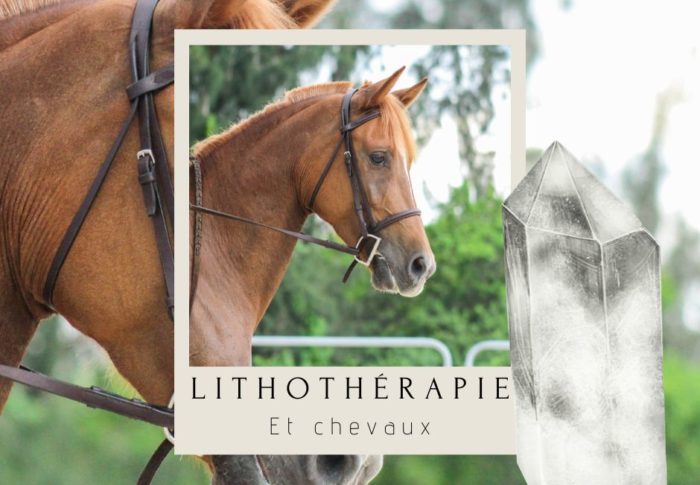 La lithothérapie pour chevaux