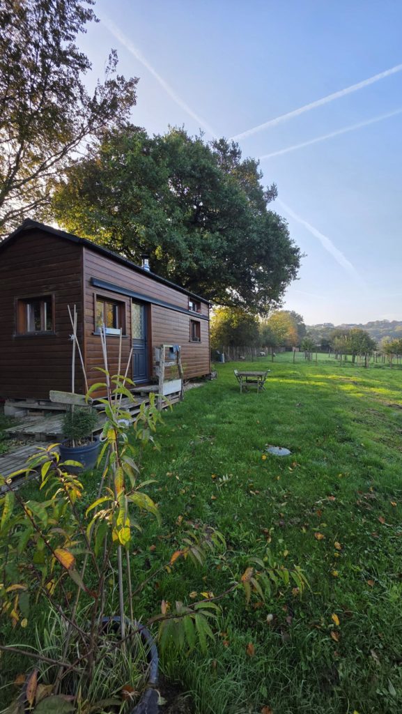 mon avis sur greengo