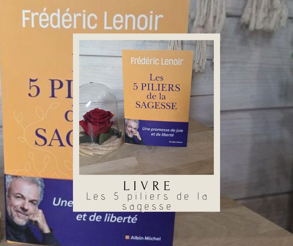 les 5 piliers de la sagesse avis