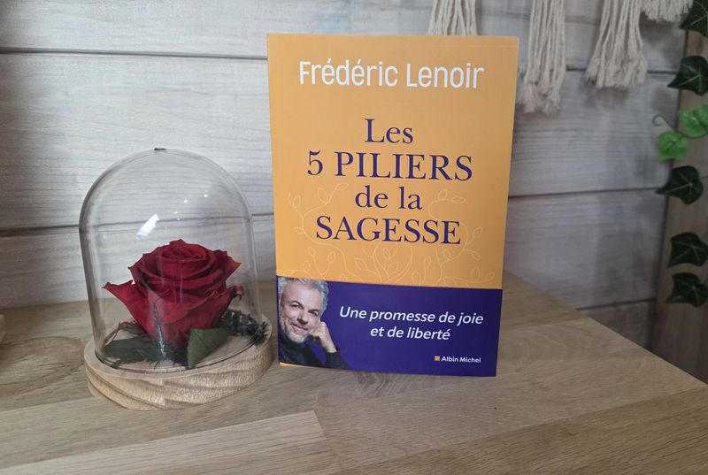 les 5 piliers de la sagesse livre